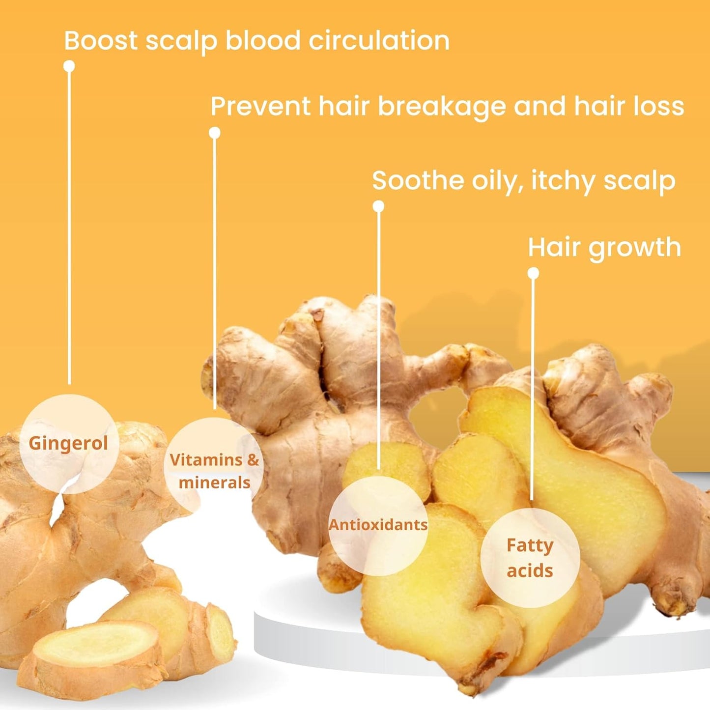 Muun Ginger & Coconut Shampoo & Conditioner Bars