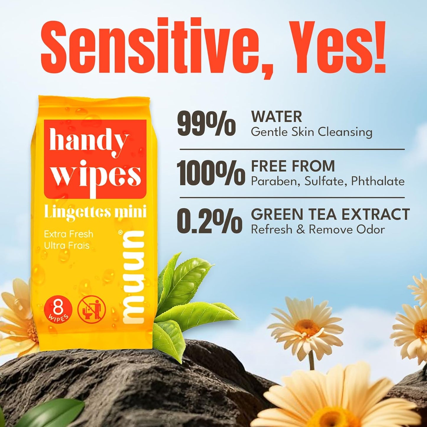 Mini Travel Wipes 64 Ct