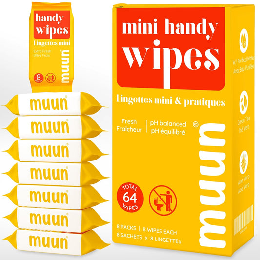Mini Travel Wipes 64 Ct