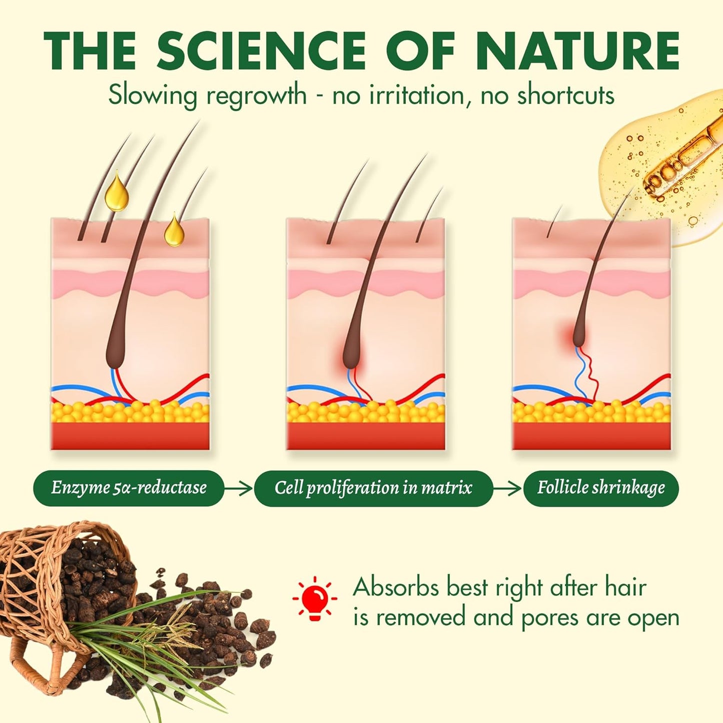 Cyperus Rotundus Oil for Reduce Unwanted Hair Growth